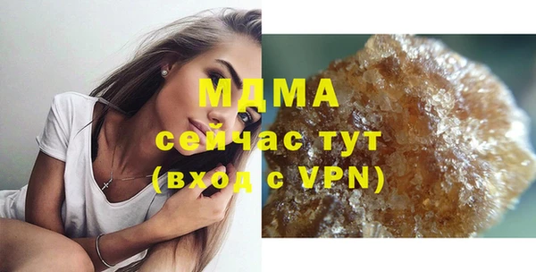 spice Инта
